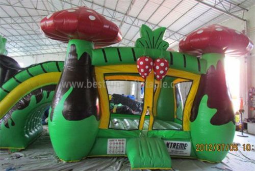 Mushroom Castles Inflatable Water Slides