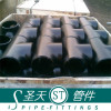 Carbon steel pipe tee (reducing tee,equal tee)