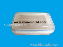 plastic injection fresh box mould
