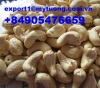 Vietnam cashew nuts cheap price