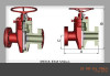 PFF flat valve API 6A