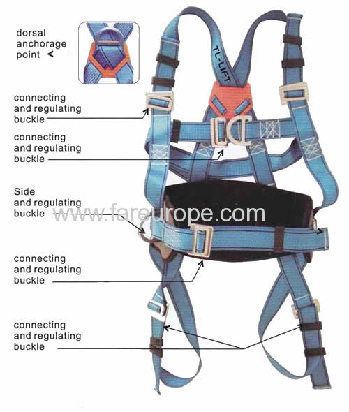 fall arrest full body harness from China manufacturer - FAR EUROPE CO.LTD