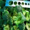 Frozen Broccoli/ Frozen Vegetable