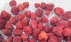 Frozen Strawberry / Frozen Fruit