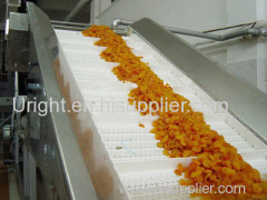 Conveyor system for food