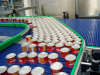 Conveyor system for canned food
