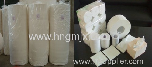 Toilet Tissue paper , paper products manufacture factory