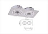 2w 2 Light Source LED Ceiling Lamp