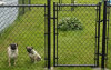 Versatile chain link fence protecting your property