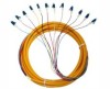 12core LC Fiber Optic Pigtail