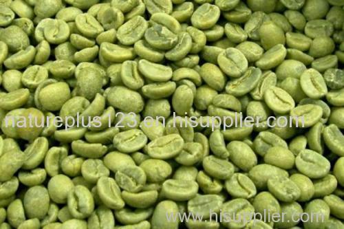 Green Coffee Bean Extract