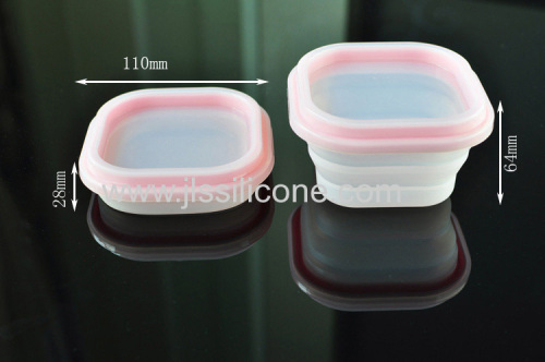 Fashionable Food Grade Silicone Fresh Box