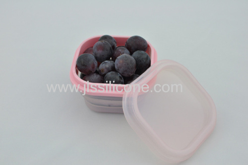 Fashionable Food Grade Silicone Fresh Box