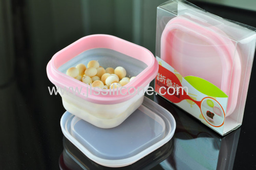 Fashionable Food Grade Silicone Fresh Box