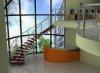 Carbon Steel Building Curved Staircase for Apartment / Villas