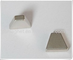 Rare Earth High Performance Customized Irregular Neodymium Magnets