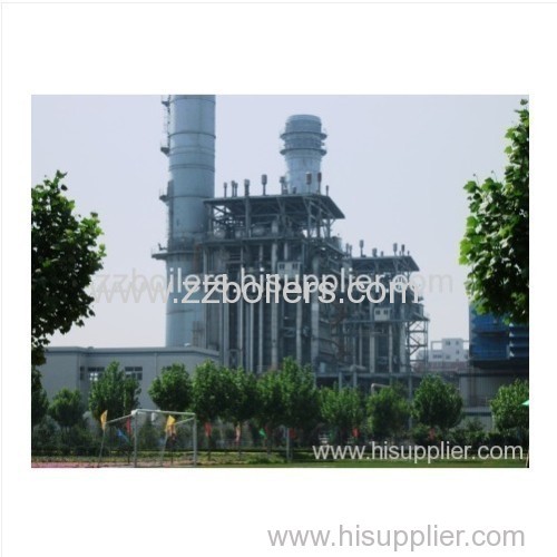 Water tube vertical Fuel and Gas Boiler