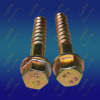 TR Hexagon Flange Screw Spike