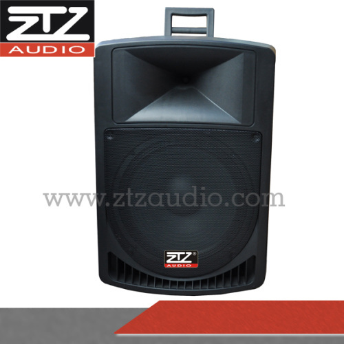 Professional active & passive speaker box TN1203 series