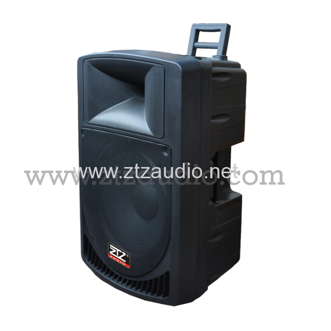 Professional active & passive speaker box TN1503 series