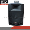 Professional active & passive speaker box TN1503 series