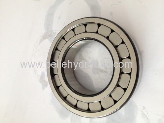 China made A11VO40 hydraulic pump bearing