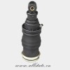 Air Suspension Strut for Mercedes Benz W220