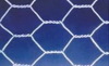 Galvanized Hexagonal Wire Mesh (BWG16-27#)