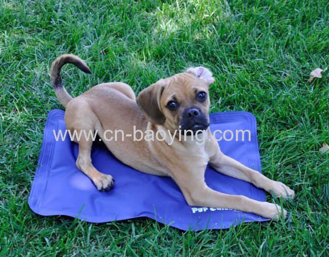 Self cooling summer cool pet mat for dog