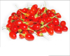 Goji Berries Organic Lycii Wolfberry Dried Goji