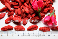 Goji Berry Berries Wolfberry Antioxidant Dried Superfood BEST PRICE