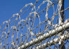 Stainless steel concertina wire reinforces security