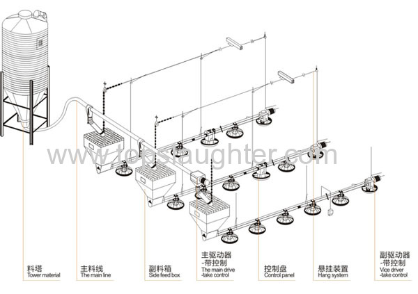 Poultry Farm Equipment Full Automatic Poultry Feeding System
