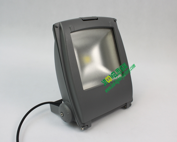 50W LED FLoodlight