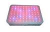 240W Red And Blue Flowering LED Grow Lights Ra 80 For Greenhouse