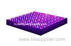 15W Red And Blue LED Grow Lights Hydroponic For Garden Flower