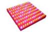 55W Red And Blue LED Grow Lights