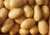 75 - 200g Fresh Organic Potatoes Smooth Surface Containing Vitamin C , Pantothenic Acid