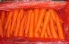 Nutritional Value Organic Carrot