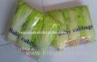 Long White Chinese Napa Cabbage Contains Folic Acid With Smooth Surface For Preserve