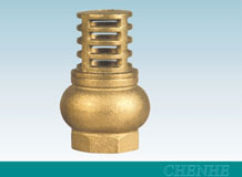 MS58 Brass foot valve