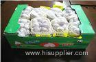 5.0cm Organic Fresh Garlic Pure White Contains Vit. B1 B2 B3 For Restaurant