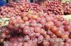 Nutritious Black / Red Globe Grapes Cotaining Vitamin E , C Preventing CHD