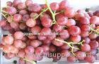 Juicy Green / Red Globe Grapes Seeded With Sweet Flesh , 18 - 28mm