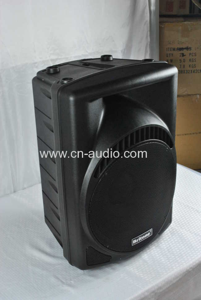 Active Speaker cabinet