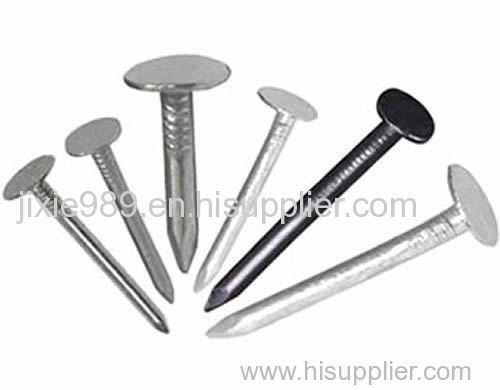 Clout nails from galvanized or stainless steel