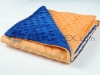 2013 Newest Design Super Soft Double Side Minky Baby Blanket