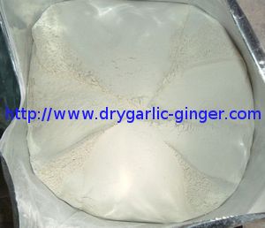dry galric powder 100-120mesh