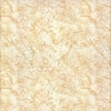 Ceramic Floor Tile 300X300