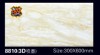 3D Digital Ceramic Wall Tile 300X600